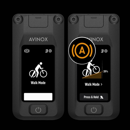 CRUSSIS and AVINOX M2S | CRUSSIS