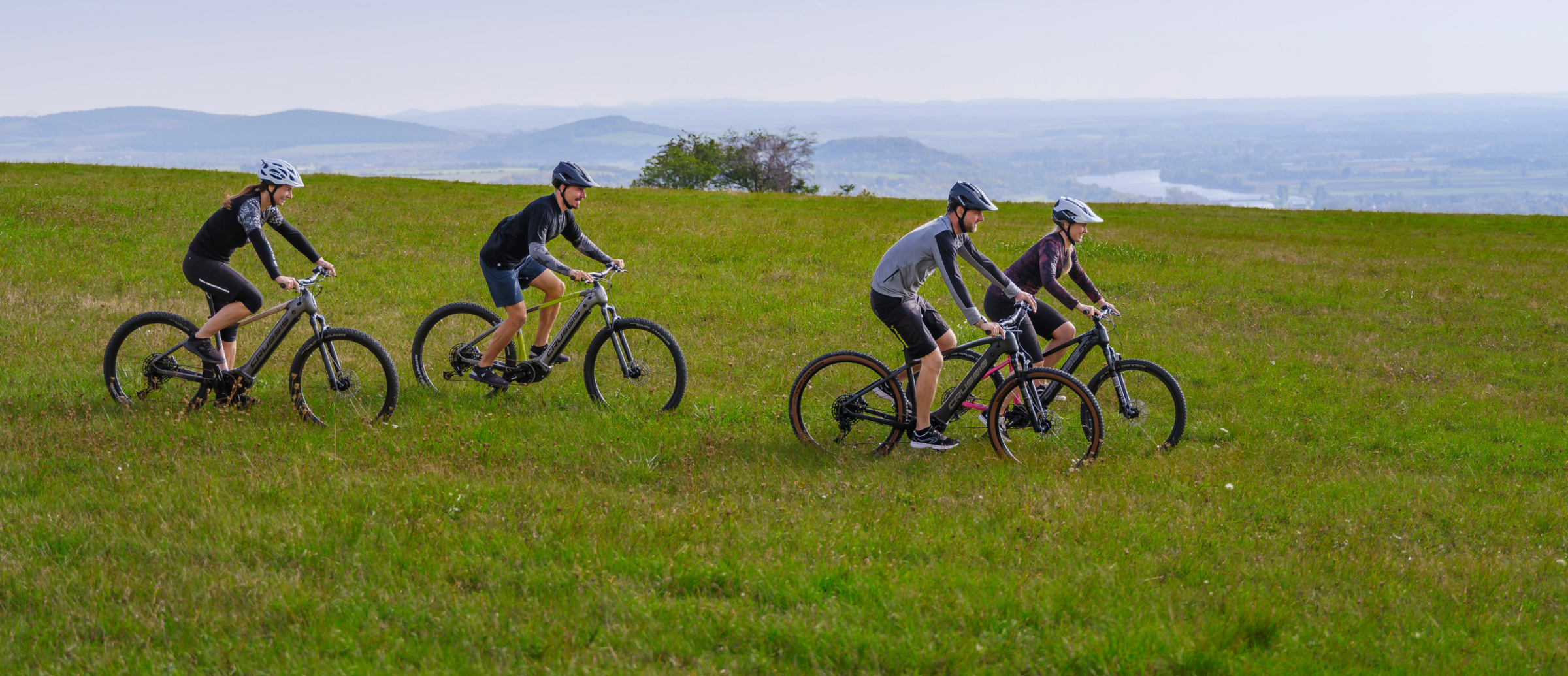 E-bikes for adults